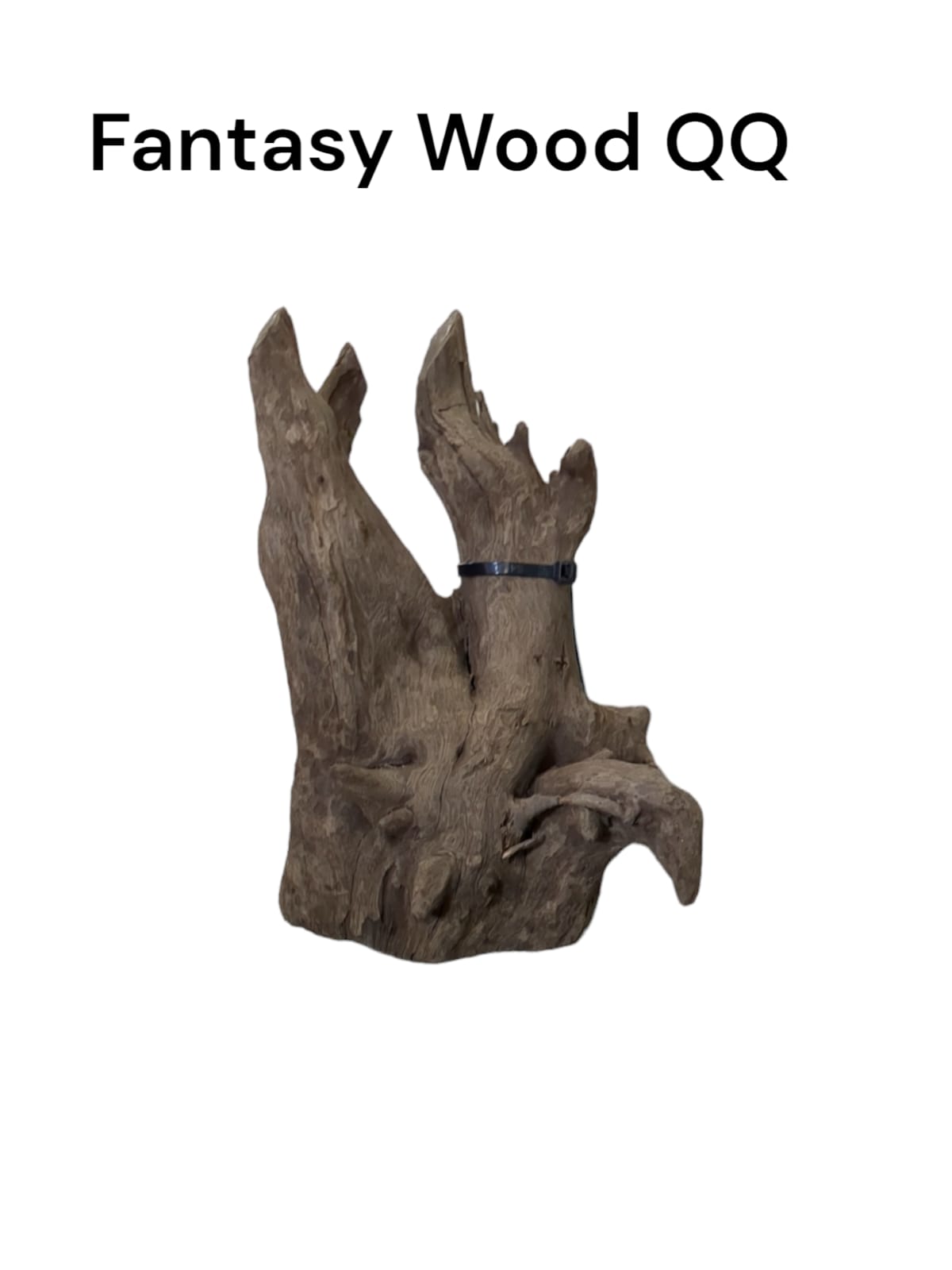 pinwood qq2.jpg